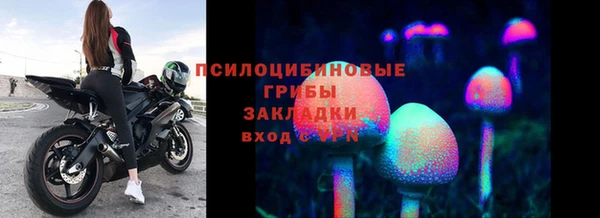 таблы Алексин
