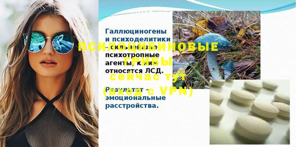 шишки Алзамай