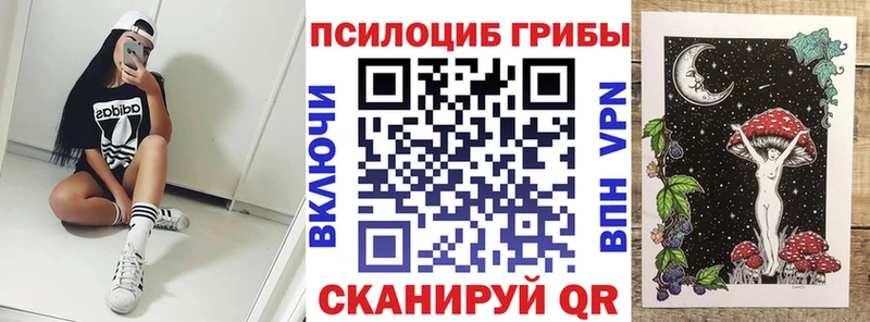 Галлюциногенные грибы Psilocybe  hydra ССЫЛКА  Андреаполь 